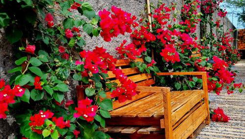 Pousada Aconchego Vitória E - Photo 4, Garden, Garden view