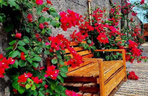 Pousada Aconchego Vitória E - Foto 4