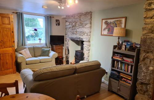 North Wales Cosy Cottage with views near Eryri Snowdonia - Photo 19