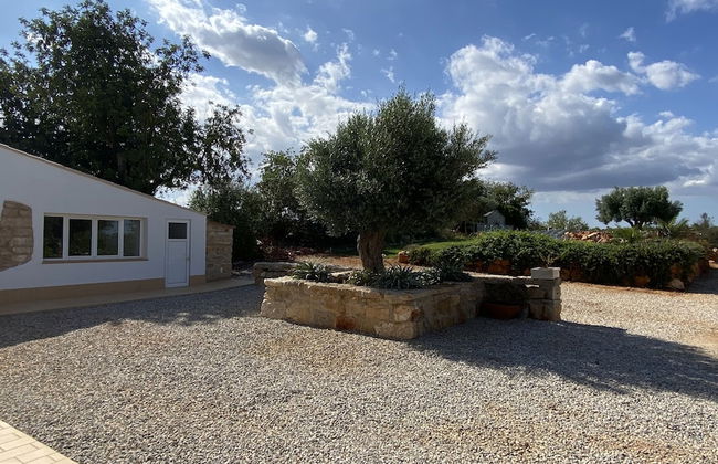 CIP V8 Gold - New!!! - Foto 37