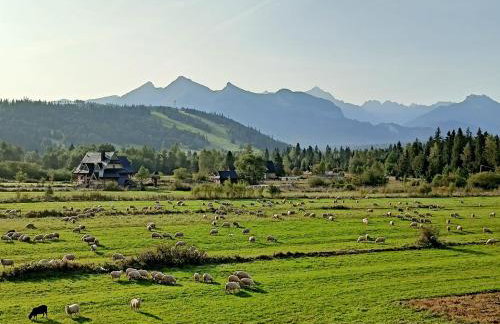 Domek z Góralską Duszą Śleboda - Foto 45