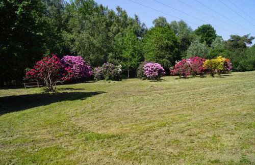 Hamburg-Rahlstedt, klein aber sehr fein, ILS-nah - Foto 26