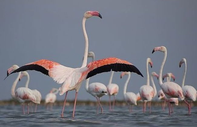 Sunset Villa - Luxury Beachfront Villa with Private Pool by Karula Sand Villas - Foto 13