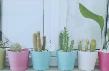 Stressfree Apartamento - Foto 24