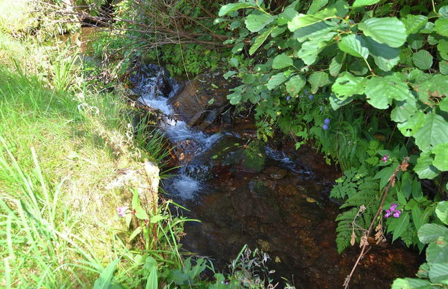 Comfortable Apartment in Baiersbronn With Balcony - Foto 16