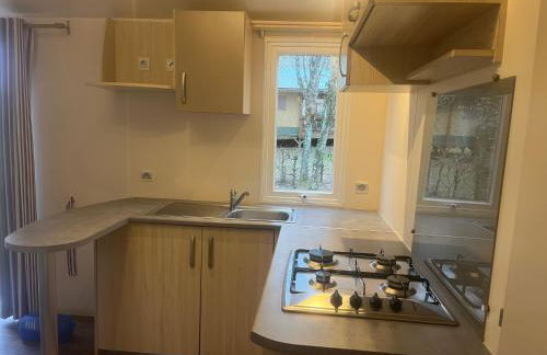 Mobilhome Family - Laurier Blanc - Foto 8