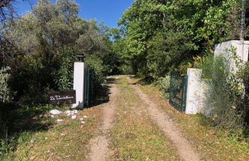 Kyparissia De Wandelboom - Foto 12