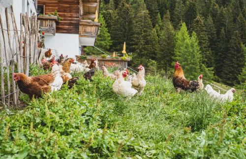 Ferienwohnungen Wiesbauer - Foto 50