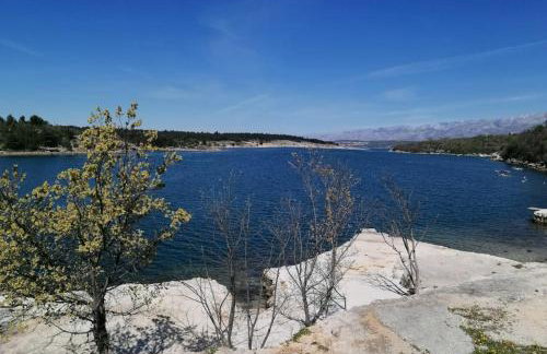 Robinson's house - Foto 29