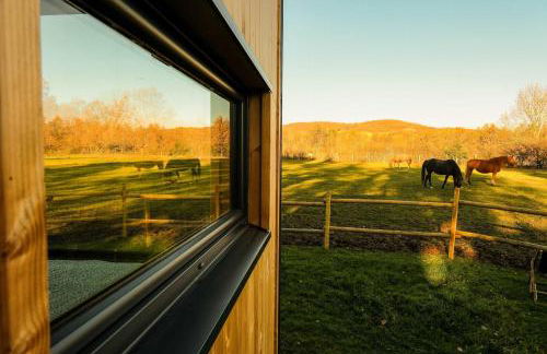 Homnest - Clairiere des Animaux - 1h de Toulouse - Photo 31