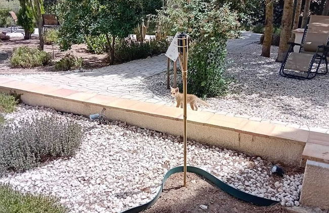 Feudo del Biviere - Foto 34