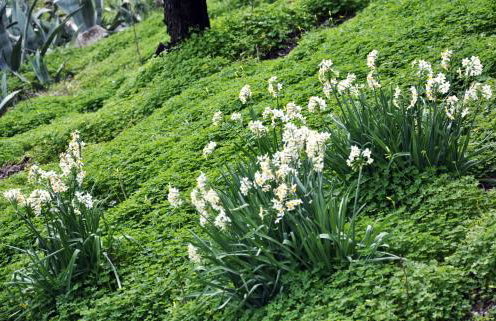 Villa Lakki Heated round pool Jacuzzi - Foto 45