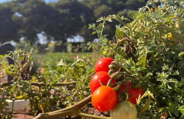 Villa Mamma Francesca - Foto 37