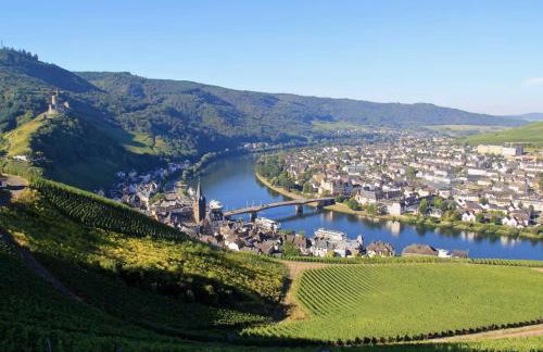 Fewo direkt am Moselufer - Foto 4