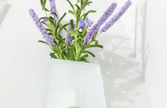 Your Dream Home at Abreeza Davao - Foto 46