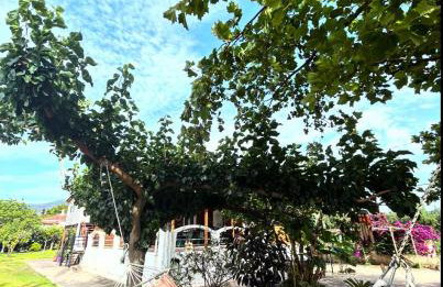 Villa Marlen - Foto 29