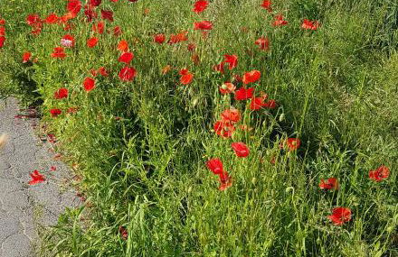 BoBi - 2 Schlafzimmer, Balkon, W-Lan, Parkplatz - Foto 24