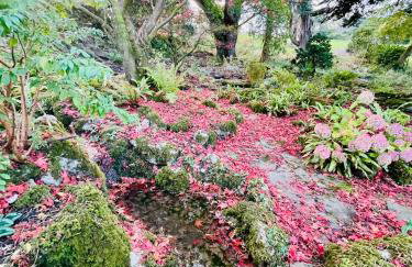 Llanerchydol Hall Suites - Foto 36