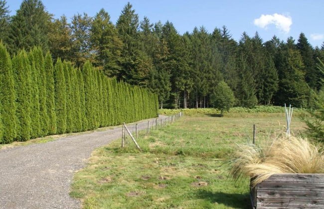 Romantic Stay in Saint-quirin - Foto 30