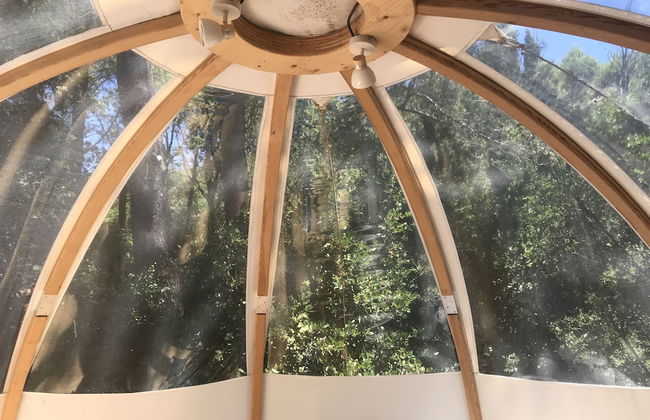 Domaine de la Tuilière - Foto 55