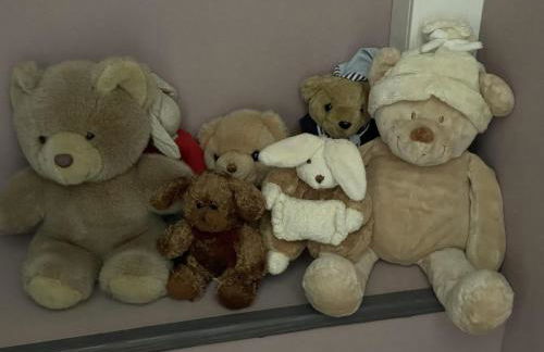 La gare aux oiseaux - Foto 34