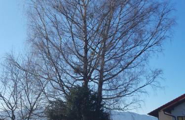 Ferienwohnung Gerold - Foto 4