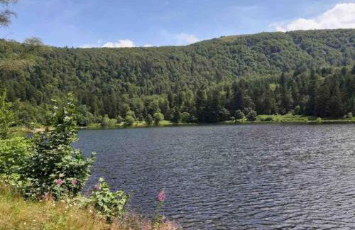 Ventron Chalet with Hill Views - Foto 38