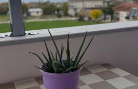 To Agnanti - Photo 30