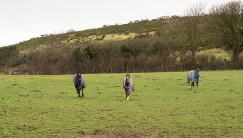 Shepherds Rest Llangrannog - Foto 4, Other