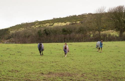 Shepherds Rest Llangrannog - Photo 4