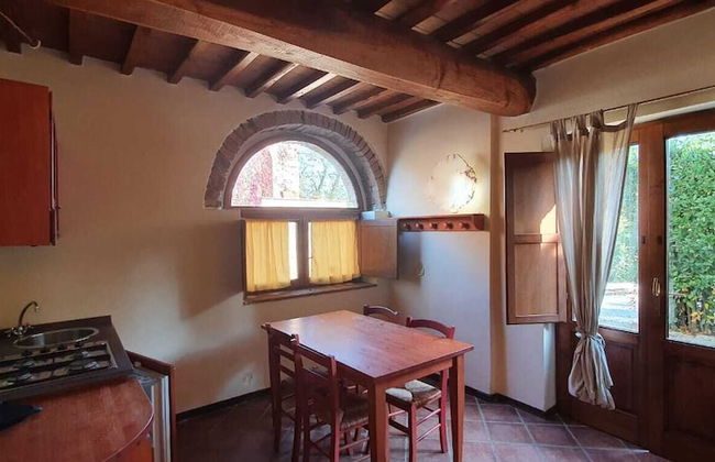 Fattoria Lischeto - Foto 16