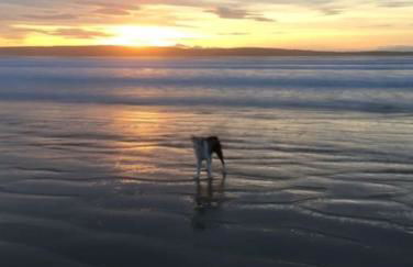 Dunes View, Cottage1, Dunnetbay accommodation - Foto 7