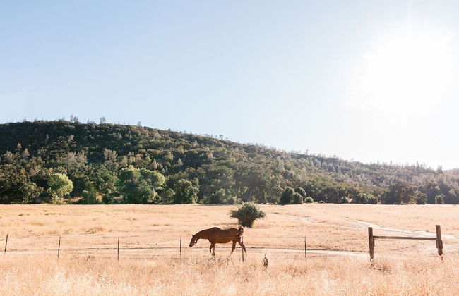 Huttopia Wine Country - Foto 50