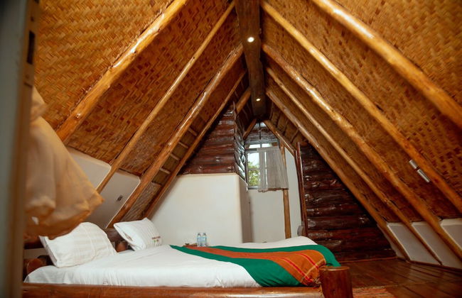 Nyungu Yamawe Forest Park - Foto 3