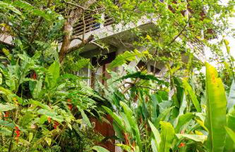 Casa 5 Suítes com Vista para o Mar - Praia Barra do Sahy - Foto 78