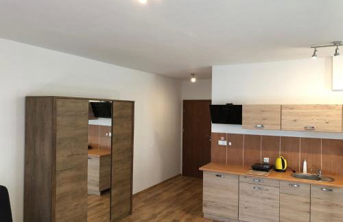 Villa Greta&Beskidy - Foto 28