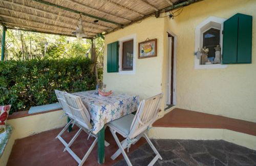 Agave direclty on the beach - Goelba - Foto 8