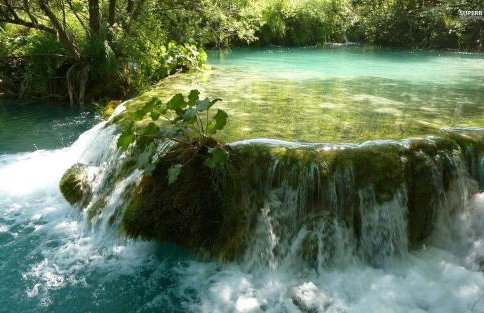 House Jelena&Marija - Foto 38