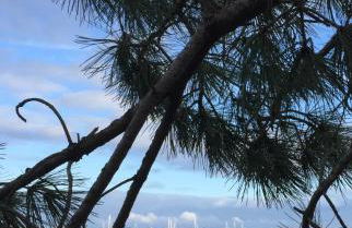 Maison chaleureuse climatisée à Maubuisson, proche lac - Foto 19