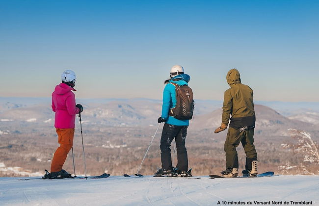 Spacious log Cottage Resort Access Citq 242255 - Foto 62