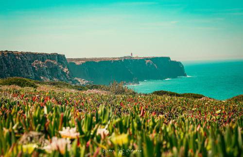 Wayra Lodge [Samay] A different sunset every day - Foto 36