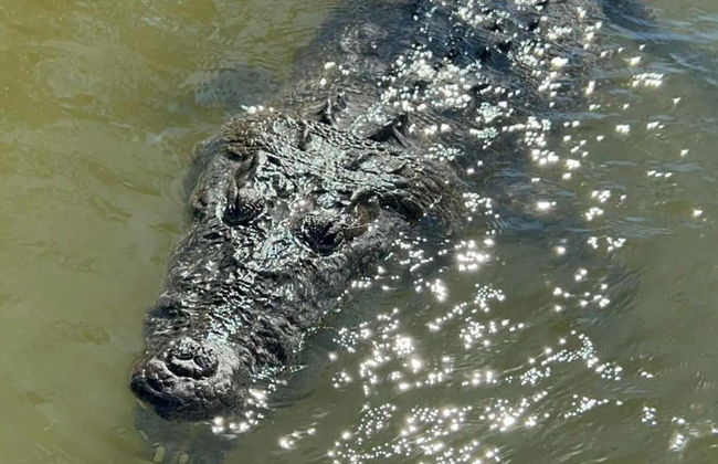 Excursión a Las Coloradas y río Lagartos - Foto 11