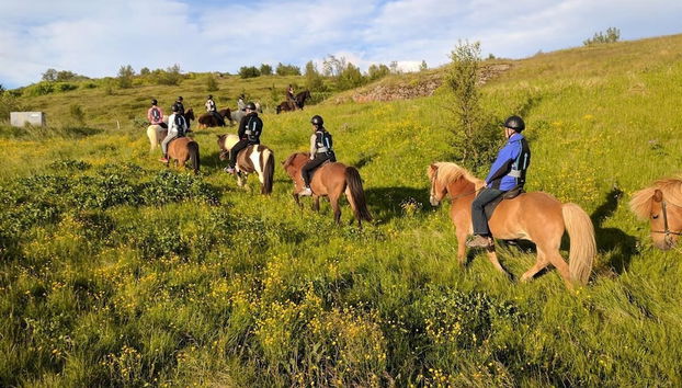 Terrenos do alojamento