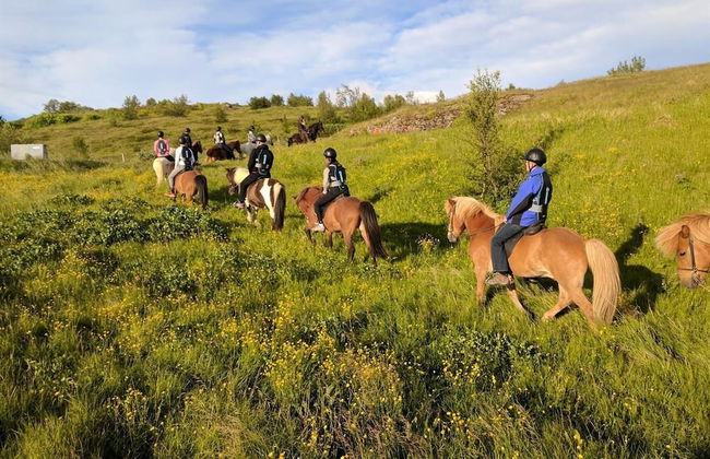 Finnsstaðir - Foto 4