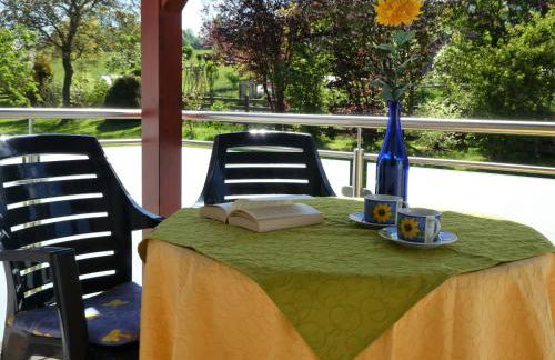 Ferienwohnungen Schallerhof - Foto 38