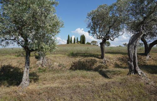 Agriturismo Cheloni - Foto 7