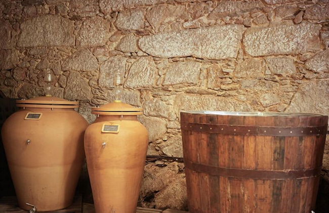 Quinta Vila Rachel - Photo 34