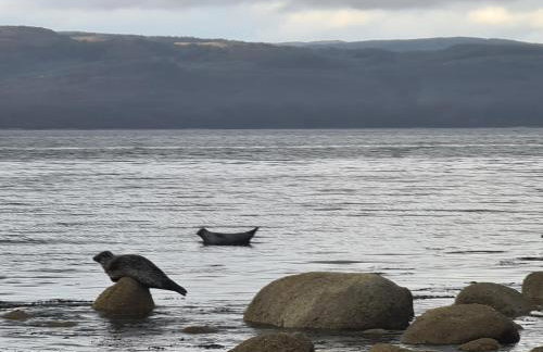 Cromla Cottage - Photo 43