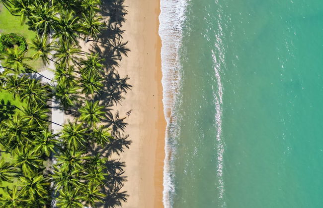 Coral Sands Resort - Photo 29