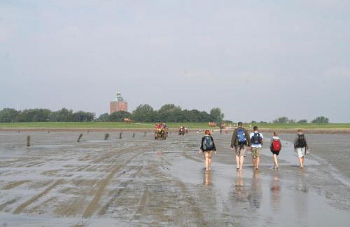 Aparthotel Am Meer - Foto 32